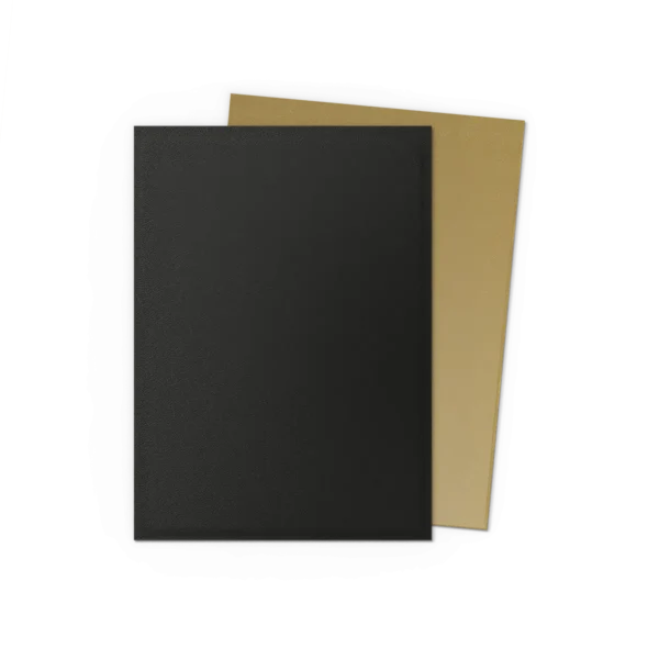 Dragon Shield: Black & Gold - 100x Matte Dual Sleeves - Standard Size - zijaanzicht