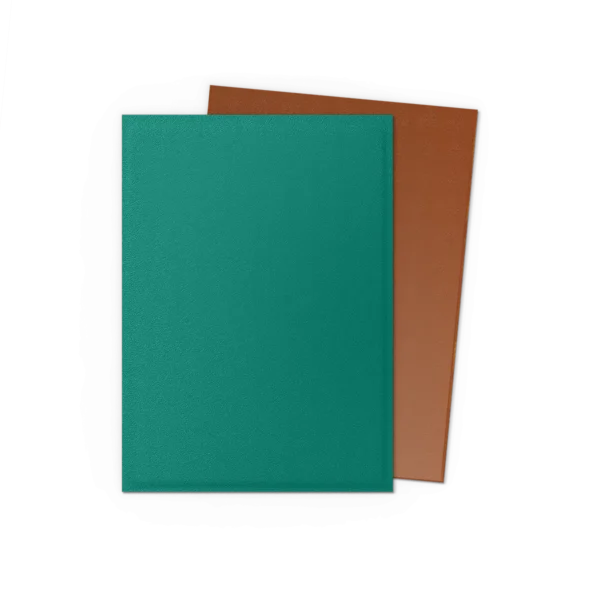 Dragon Shield: Power & Copper - 100x Matte Dual Sleeves - Standard Size - gesloten