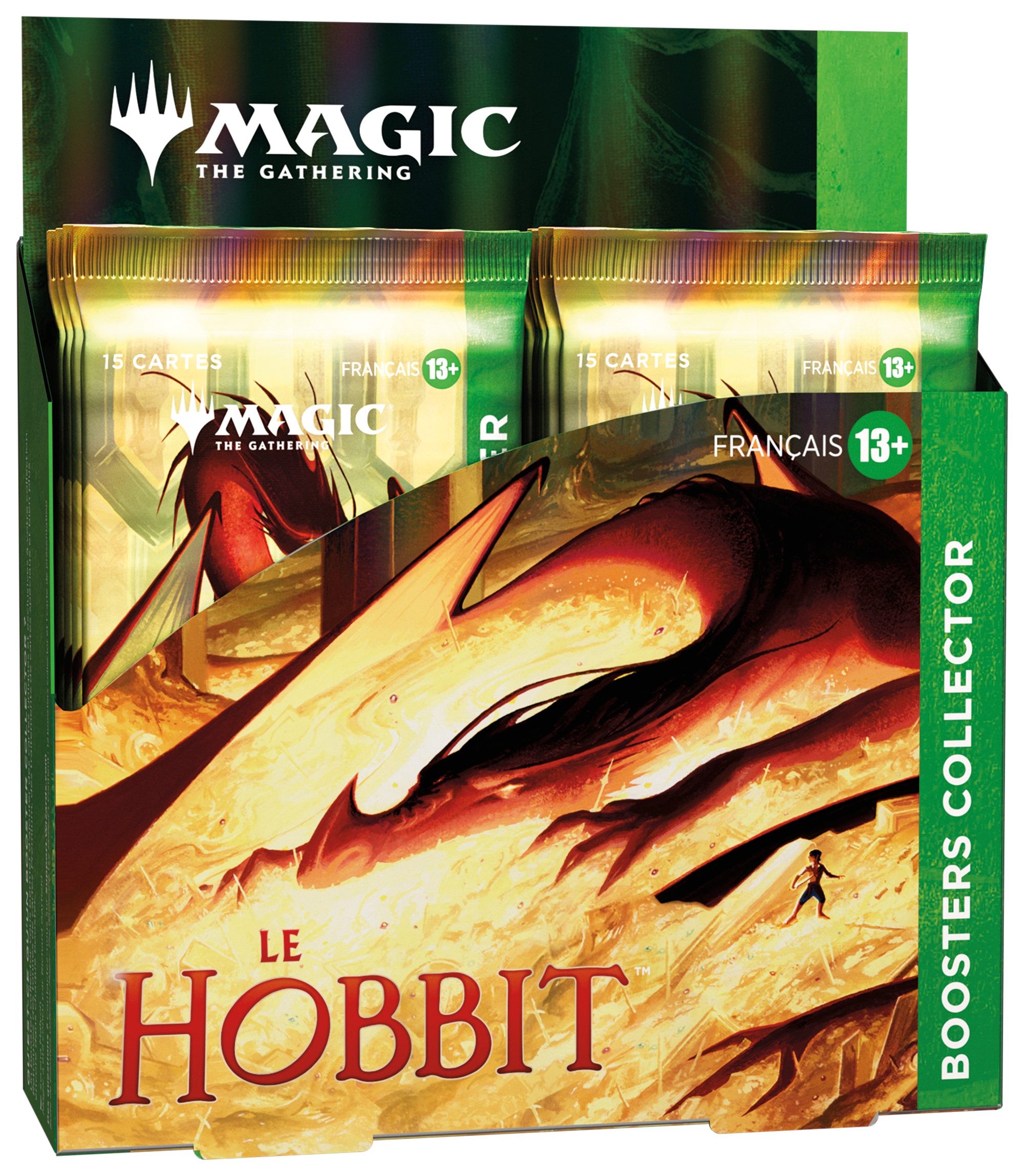 MTGHOB_FR_DspBx_Clctr_02_01