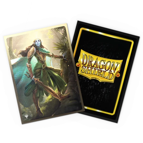 Dragon Shield: Lathril, Blade of the Elves - inhoud