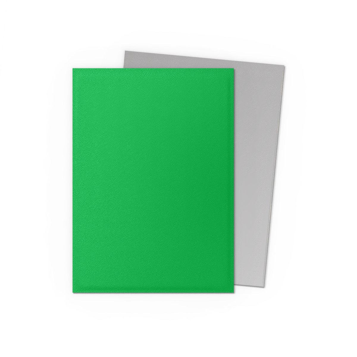 Dragon Shield: Applegreen & Silver - 100x Matte Dual Sleeves - Standard Size - kleurdetail