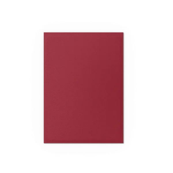 Dragon Shield: Blood Red - 100x Non-Glare Matte Sleeves - Standard Size - extra beeld
