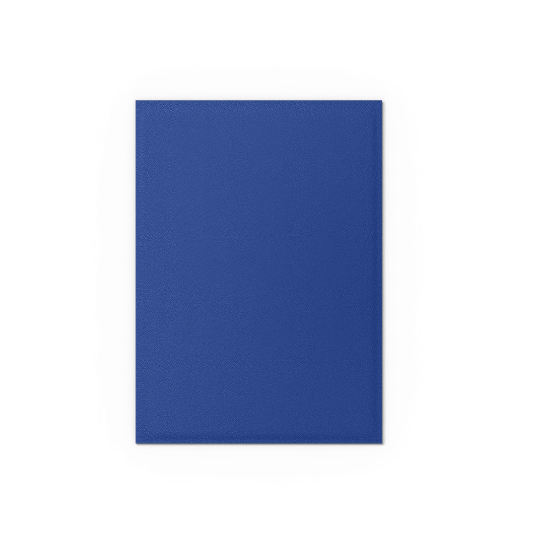 Dragon Shield: Blue - 100x Non-Glare Matte Sleeves - Standard Size - extra beeld