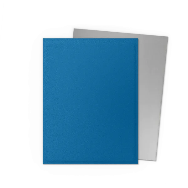 Dragon Shield: Cobalt/Silver - 100x Matte Dual Sleeves - Standard Size - in gebruik