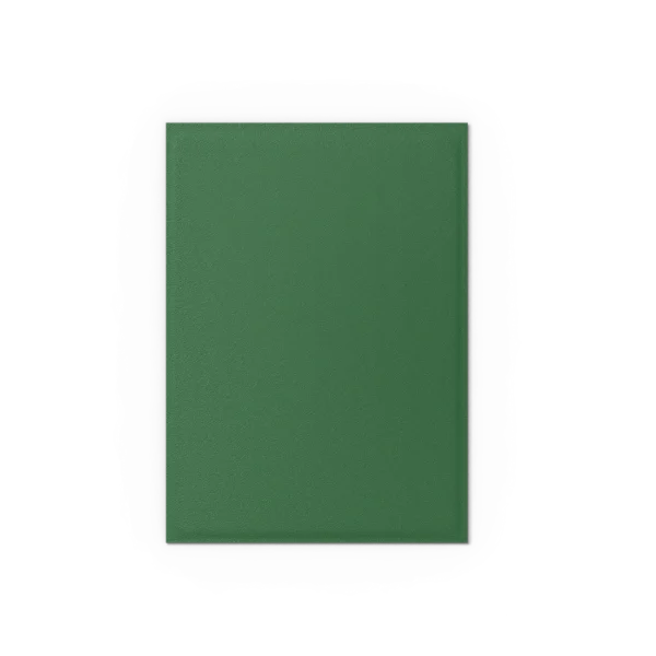 Dragon Shield: Forest Green - 100x Non-Glare Matte Sleeves - Standard Size - extra beeld