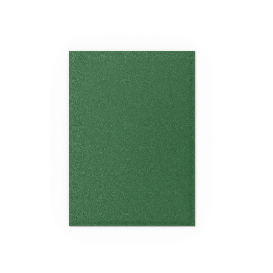 Dragon Shield: Forest Green - 100x Non-Glare Matte Sleeves - Standard Size - extra beeld