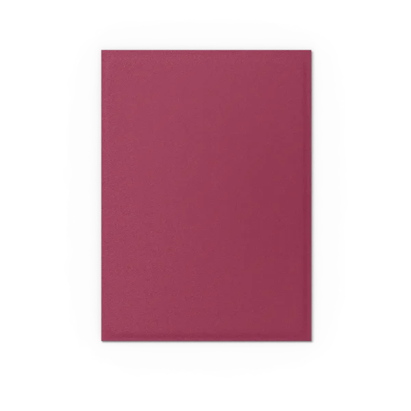 Dragon Shield: Pomegranate & Gold - 100x Matte Dual Sleeves - Standard Size - in gebruik
