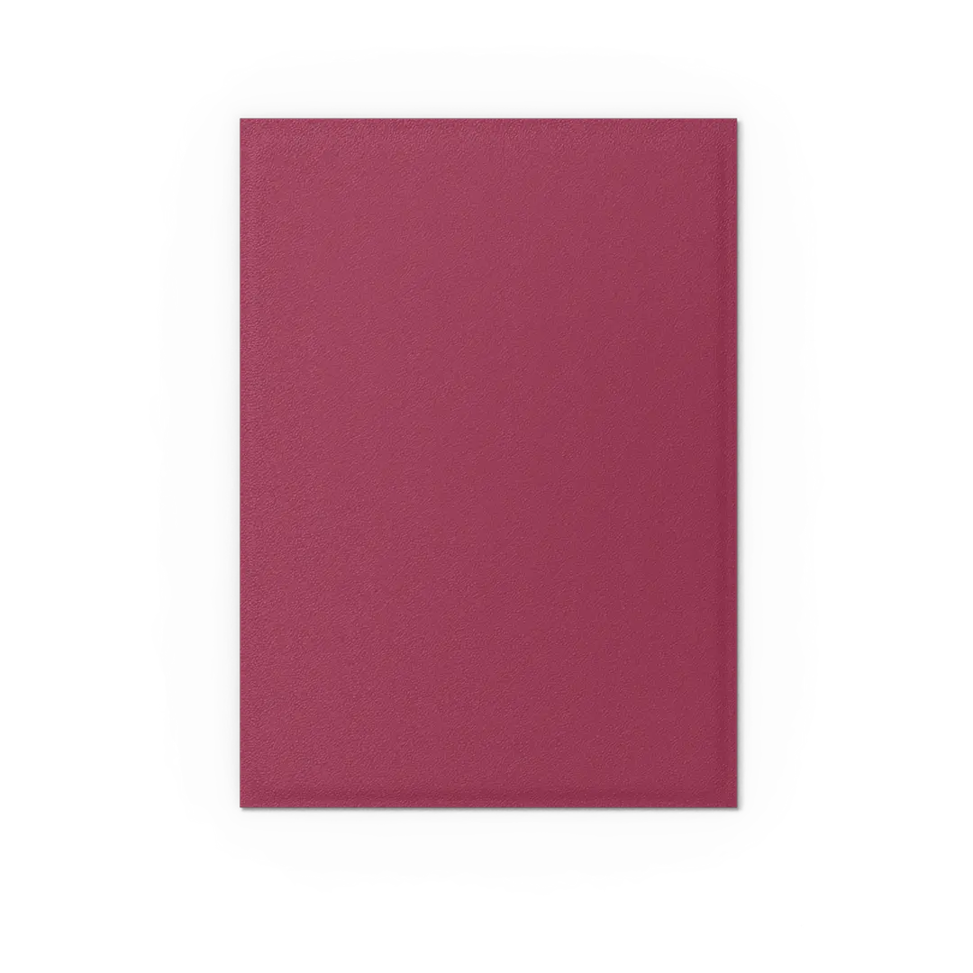 Dragon Shield: Pomegranate & Gold - 100x Matte Dual Sleeves - Standard Size - in gebruik
