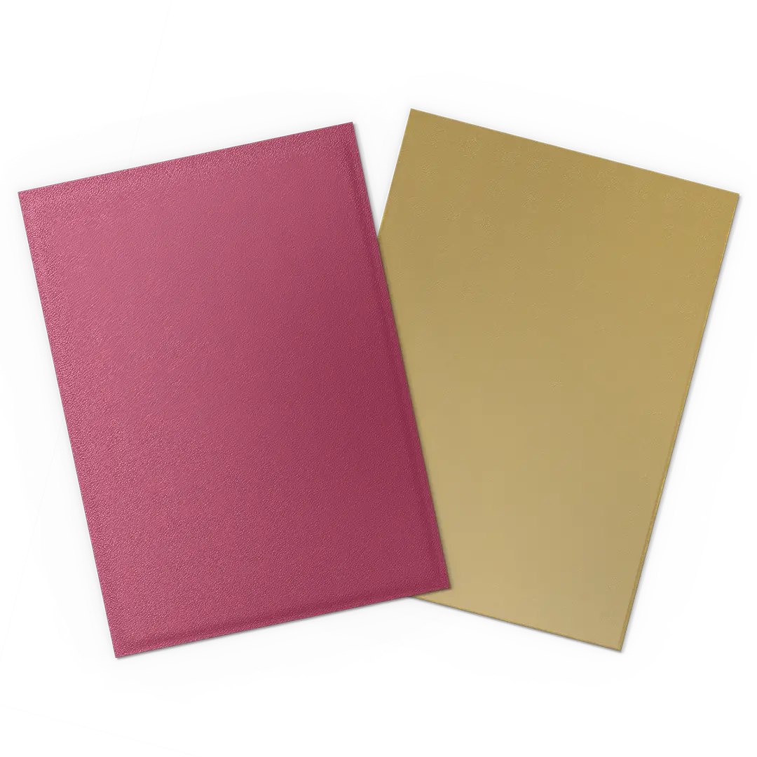 Dragon Shield: Pomegranate & Gold - 100x Matte Dual Sleeves - Standard Size - kleurdetail