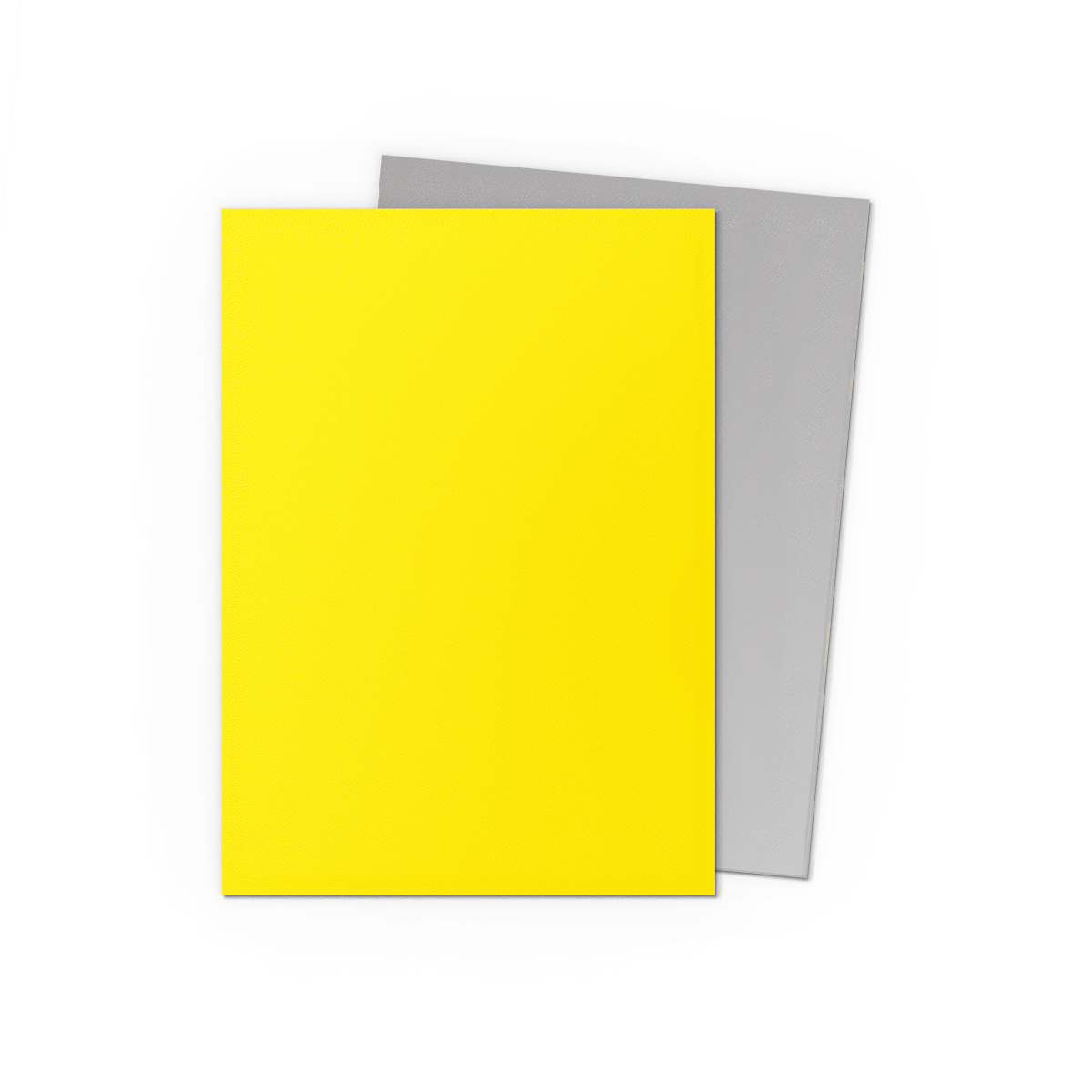 Dragon Shield: Yellow & Silver - 100x Matte Dual Sleeves - Standard Size - kleurdetail